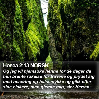 Hosea 2:13 NORSK Bible Verse Image