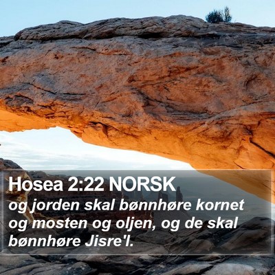 Hosea 2:22 NORSK Bible Verse Image