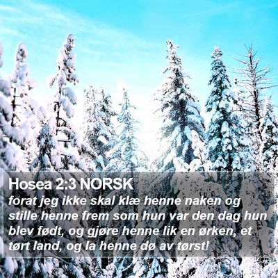 Hosea 2:3 NORSK Bible Verse Image