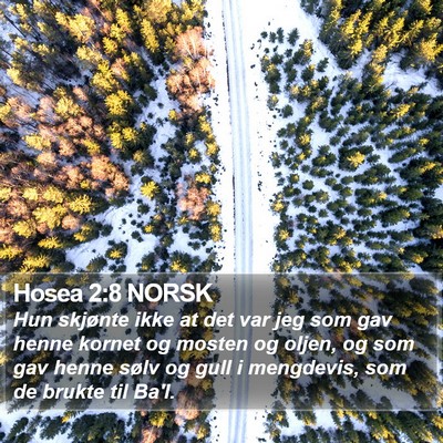 Hosea 2:8 NORSK Bible Verse Image