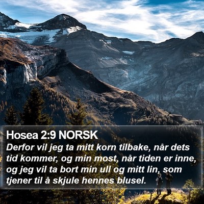 Hosea 2:9 NORSK Bible Verse Image