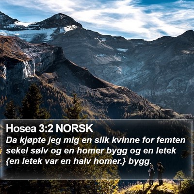 Hosea 3:2 NORSK Bible Verse Image