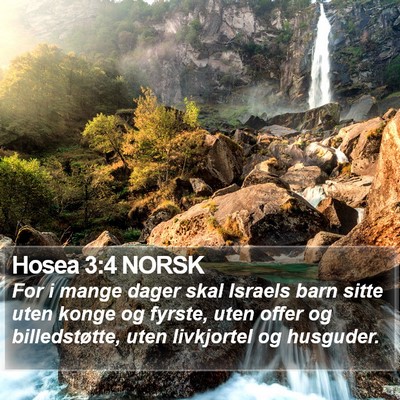 Hosea 3:4 NORSK Bible Verse Image