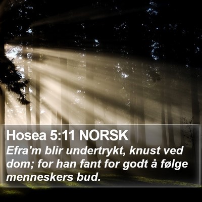 Hosea 5:11 NORSK Bible Verse Image