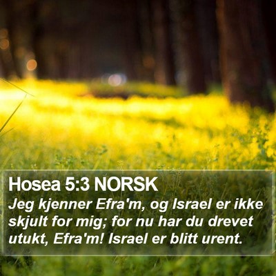 Hosea 5:3 NORSK Bible Verse Image