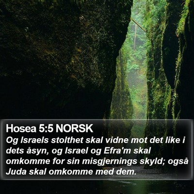 Hosea 5:5 NORSK Bible Verse Image