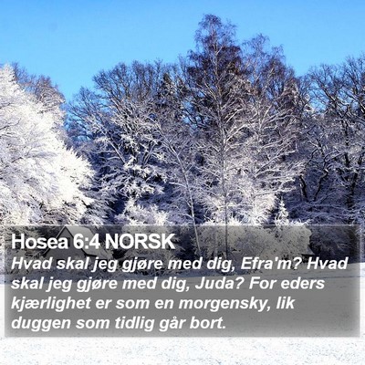 Hosea 6:4 NORSK Bible Verse Image