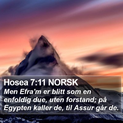 Hosea 7:11 NORSK Bible Verse Image