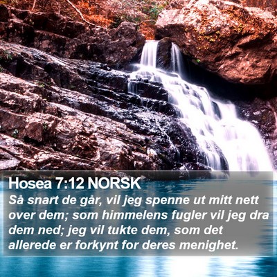 Hosea 7:12 NORSK Bible Verse Image