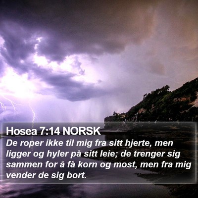 Hosea 7:14 NORSK Bible Verse Image