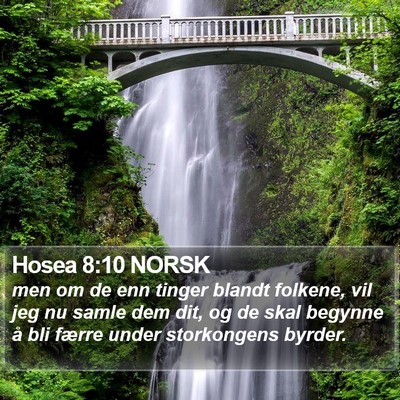 Hosea 8:10 NORSK Bible Verse Image
