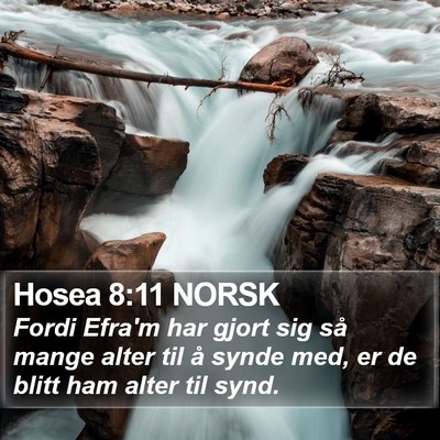 Hosea 8:11 NORSK Bible Verse Image