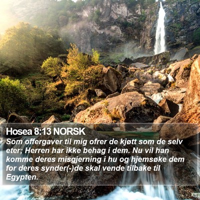 Hosea 8:13 NORSK Bible Verse Image