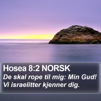 Hosea 8:2 NORSK Bible Verse Image