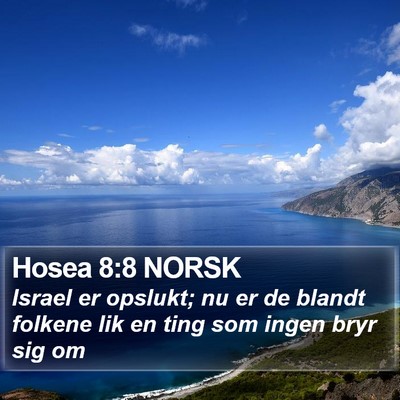 Hosea 8:8 NORSK Bible Verse Image