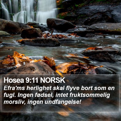 Hosea 9:11 NORSK Bible Verse Image