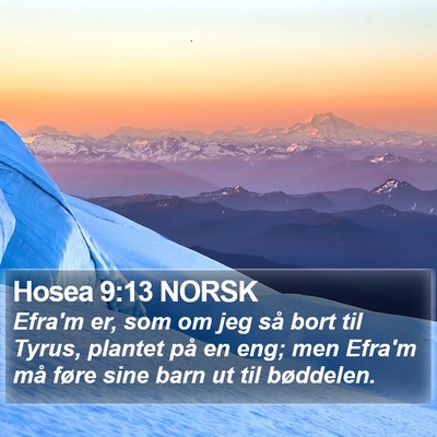 Hosea 9:13 NORSK Bible Verse Image