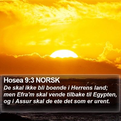 Hosea 9:3 NORSK Bible Verse Image