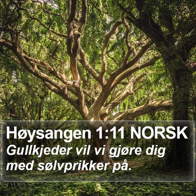 Høysangen 1:11 NORSK Bible Verse Image