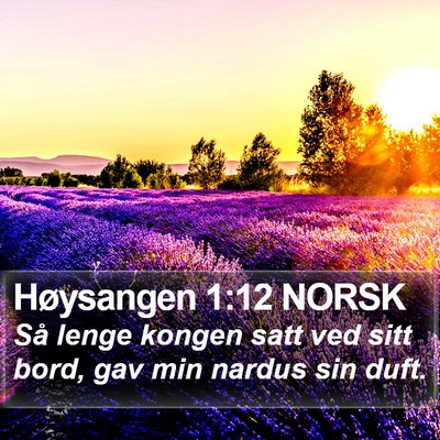 Høysangen 1:12 NORSK Bible Verse Image