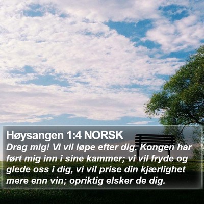 Høysangen 1:4 NORSK Bible Verse Image