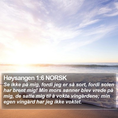 Høysangen 1:6 NORSK Bible Verse Image