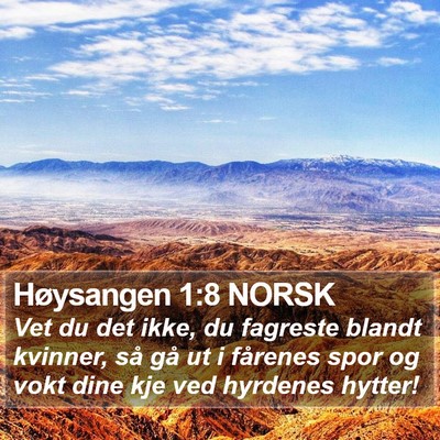 Høysangen 1:8 NORSK Bible Verse Image