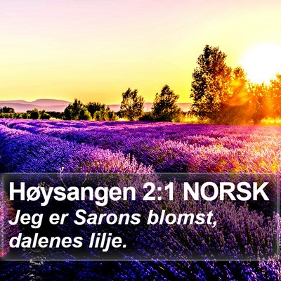 Høysangen 2:1 NORSK Bible Verse Image