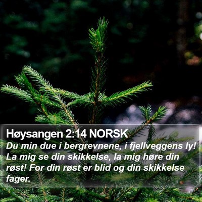 Høysangen 2:14 NORSK Bible Verse Image