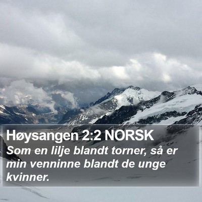 Høysangen 2:2 NORSK Bible Verse Image