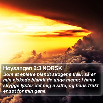 Høysangen 2:3 NORSK Bible Verse Image