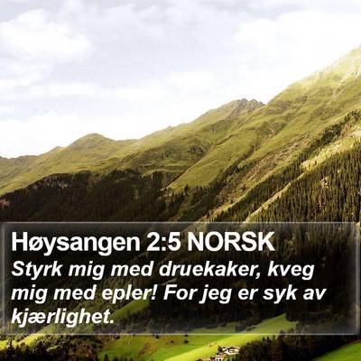 Høysangen 2:5 NORSK Bible Verse Image
