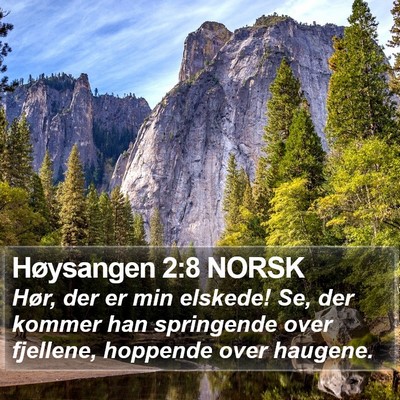 Høysangen 2:8 NORSK Bible Verse Image