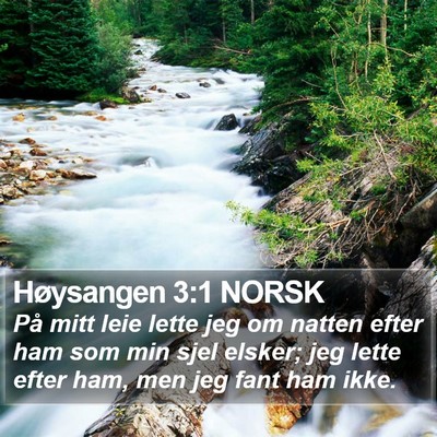Høysangen 3:1 NORSK Bible Verse Image