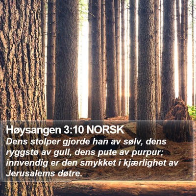 Høysangen 3:10 NORSK Bible Verse Image