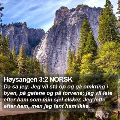Høysangen 3:2 NORSK Bible Verse Image
