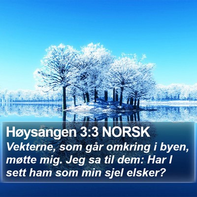Høysangen 3:3 NORSK Bible Verse Image
