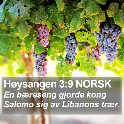 Høysangen 3:9 NORSK Bible Verse Image