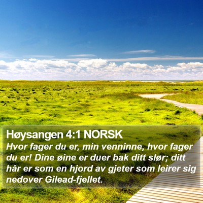 Høysangen 4:1 NORSK Bible Verse Image