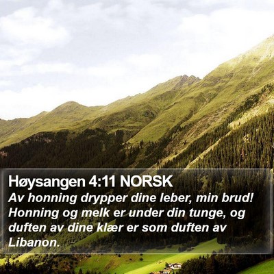 Høysangen 4:11 NORSK Bible Verse Image