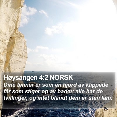 Høysangen 4:2 NORSK Bible Verse Image