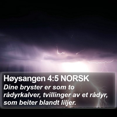 Høysangen 4:5 NORSK Bible Verse Image