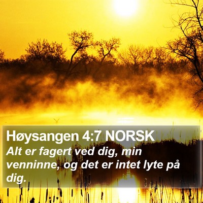 Høysangen 4:7 NORSK Bible Verse Image