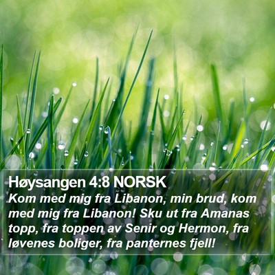 Høysangen 4:8 NORSK Bible Verse Image