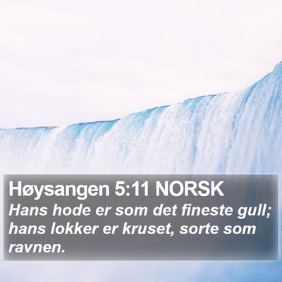 Høysangen 5:11 NORSK Bible Verse Image