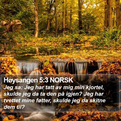 Høysangen 5:3 NORSK Bible Verse Image