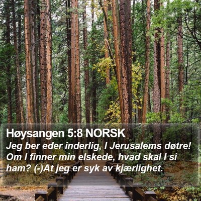 Høysangen 5:8 NORSK Bible Verse Image