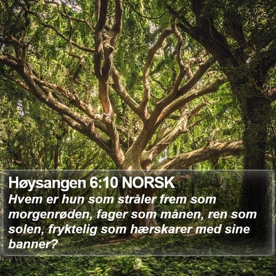 Høysangen 6:10 NORSK Bible Verse Image