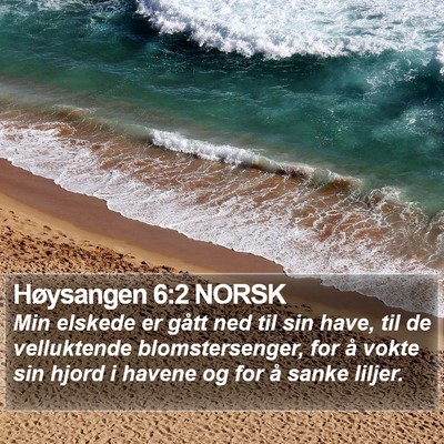 Høysangen 6:2 NORSK Bible Verse Image