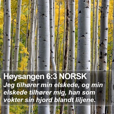 Høysangen 6:3 NORSK Bible Verse Image